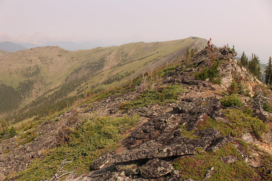 It's tedious--not ferocious!