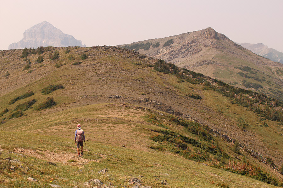 Probably just as easy to climb over the top...