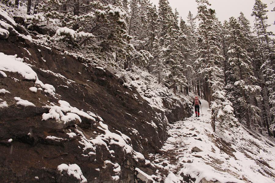 You could almost ski the trail...almost!