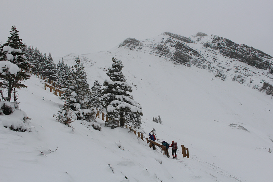 You never know who you might run into on a trail such as this!