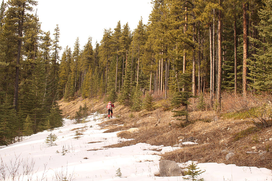 Might even be worth skiing if there was more snow...