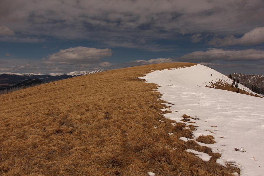 Bloody windy here too!