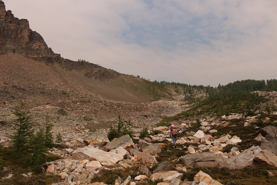 Literally, not figuratively...at least not yet!