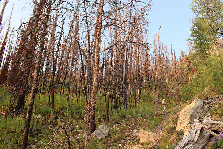 But the bugs were bad here! Ugh!