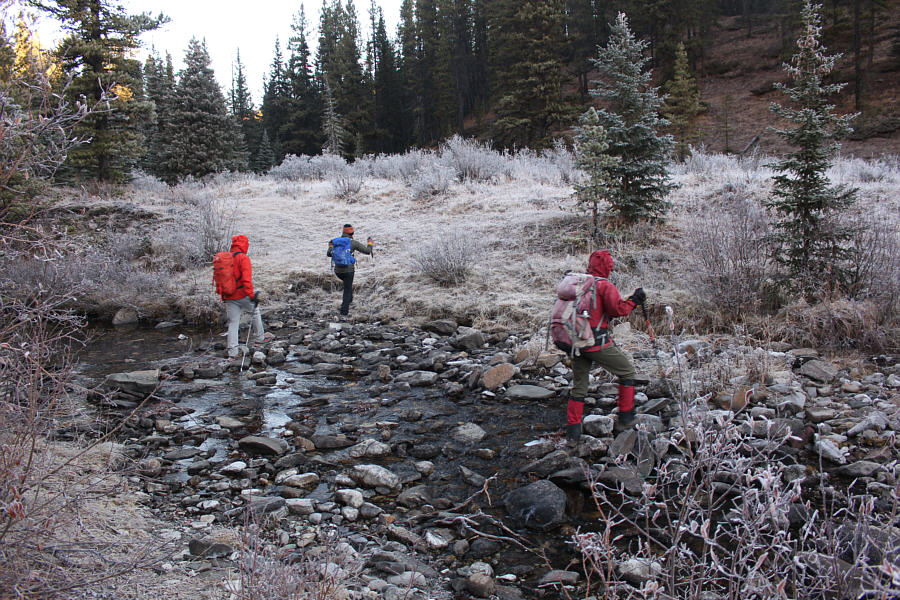 I hear voices...hopefully not in my head!