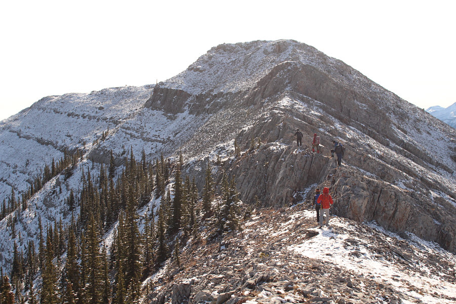 Instead, it's a real delight to scramble up the ridge.