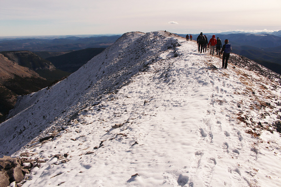 Man, those guys are fast!