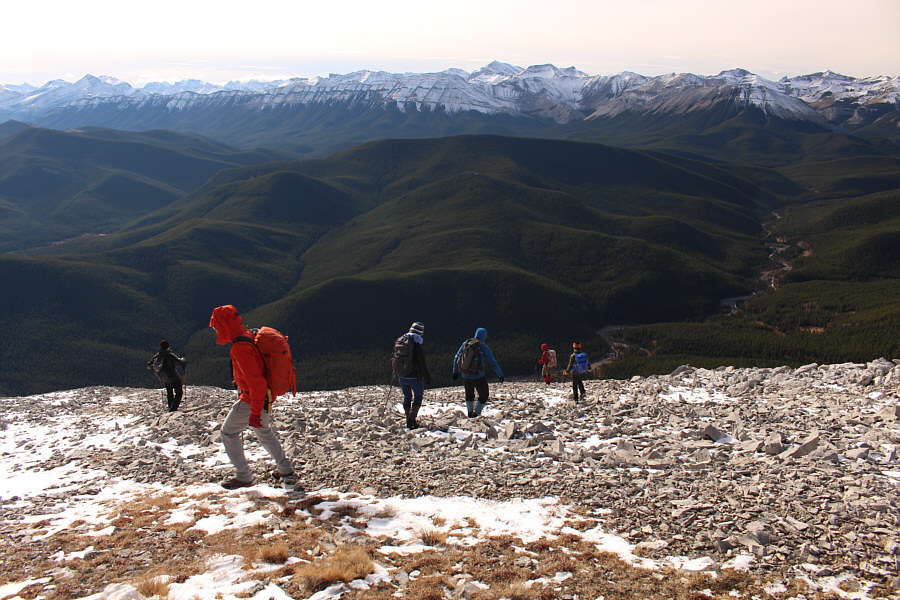 Time to get down...and boogie!