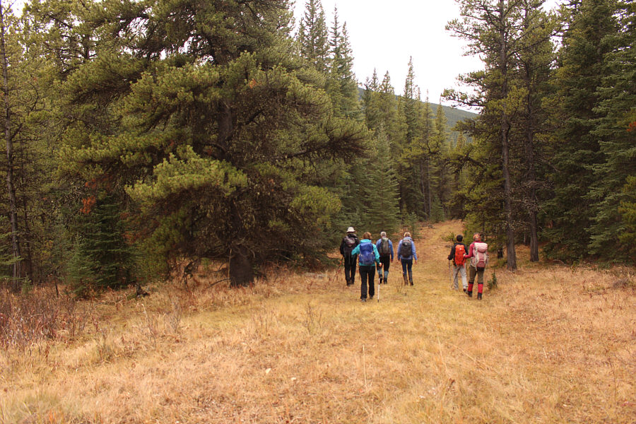 On the road again...