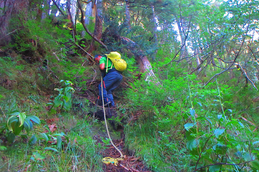 The rope wasn't totally necessary, but it helps!