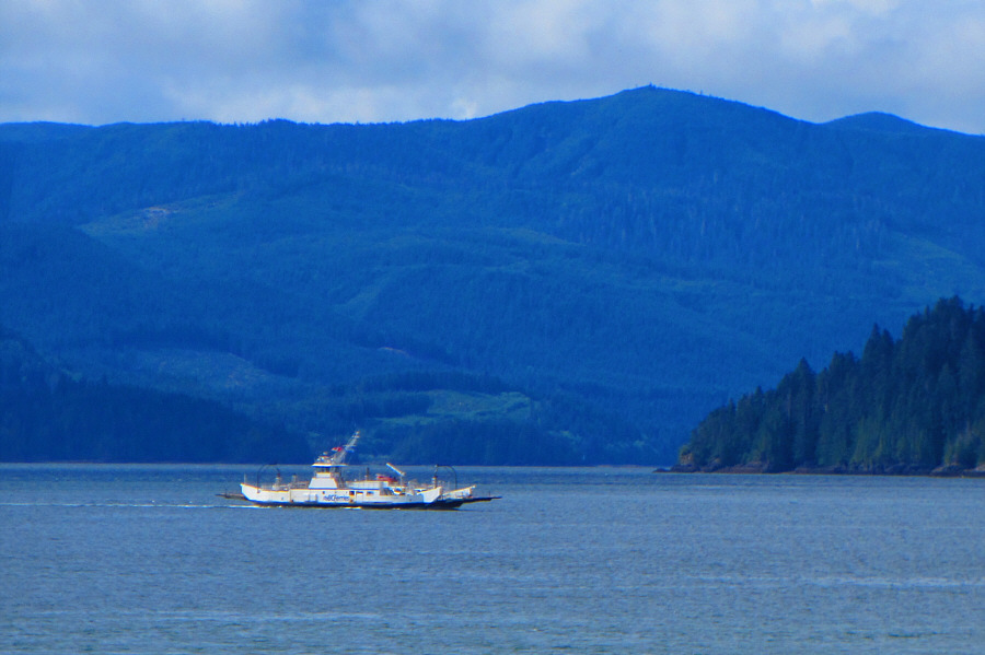 The fare was about $40 round-trip for us.