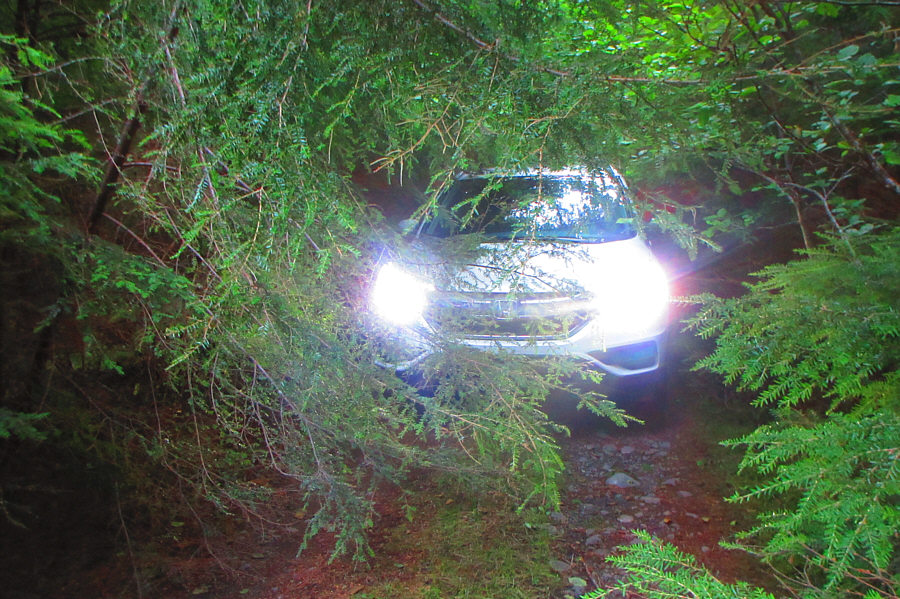 Someone needs to bring a chainsaw here!