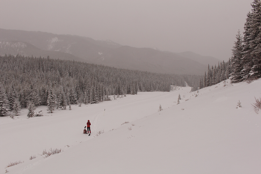 This is a lonely place on a cold winter day.