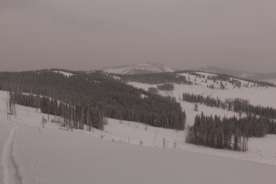 Can you spot the horses?