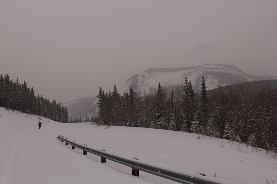 We're going mostly downhill on the way back but still can't maintain any momentum!