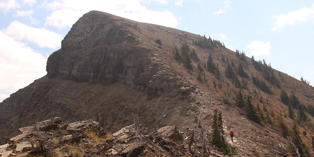 Even a packhorse could do it!