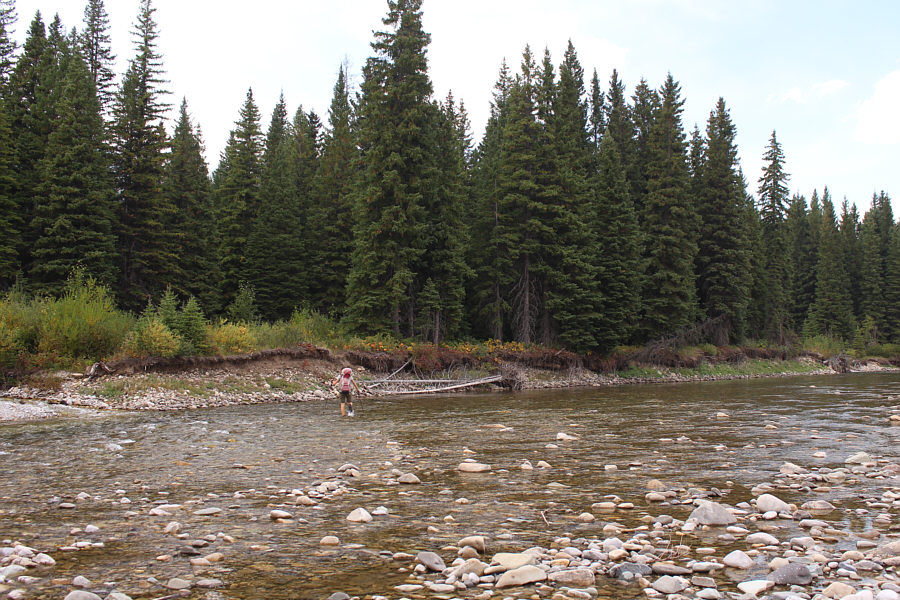 Zosia always seems to be the first to cross any river!
