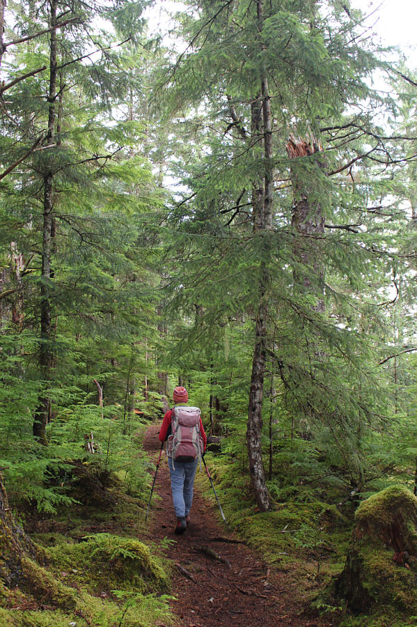 But very pleasant West Coast forest!