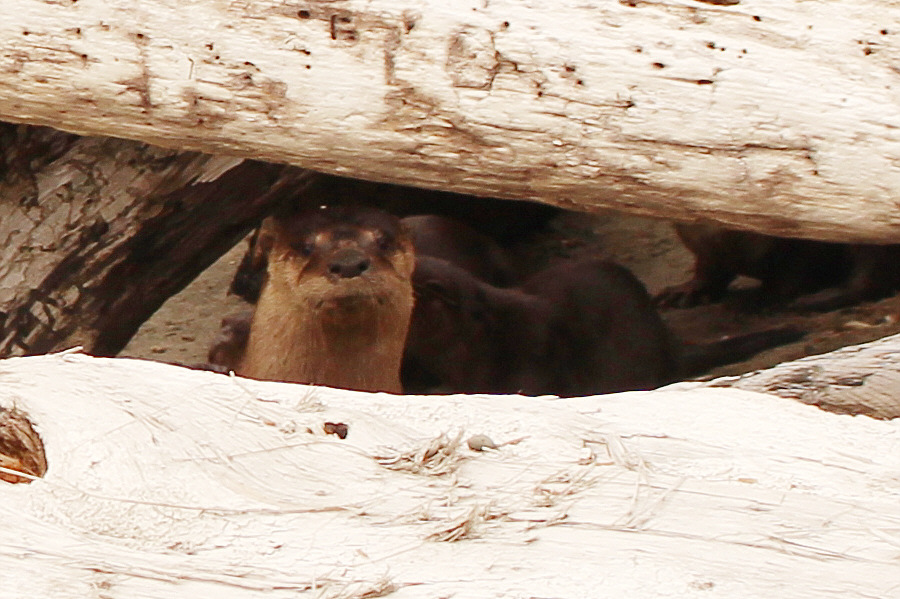 She is not to be trifled with!