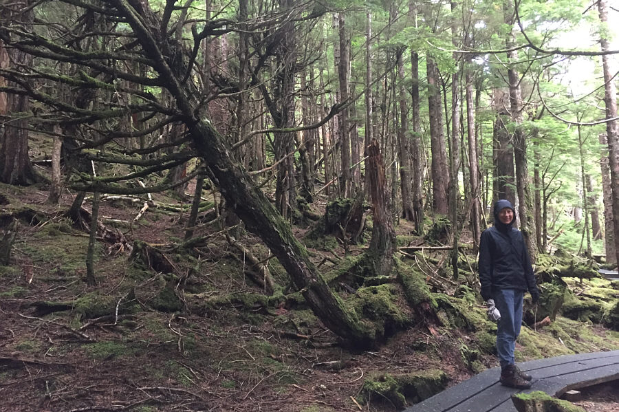 They should put boardwalks on ALL mountains!