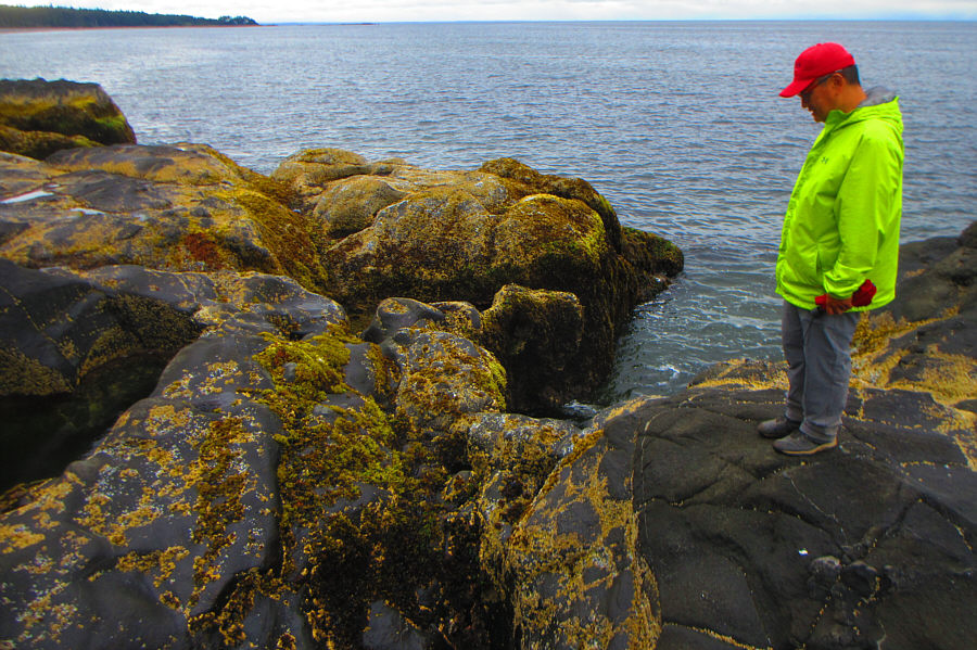 Next show in 6 hours!