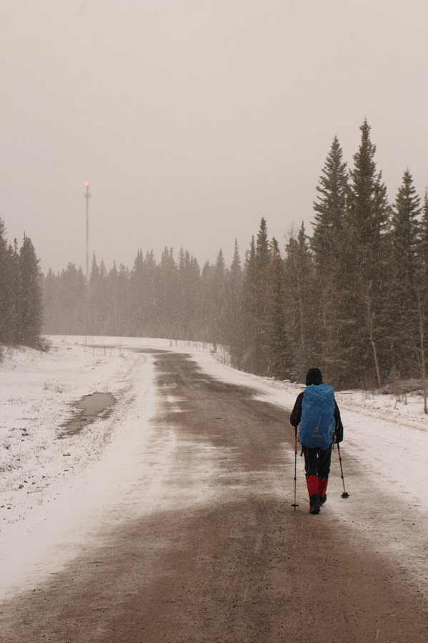 Zosia, did you bring eggs for lunch again?