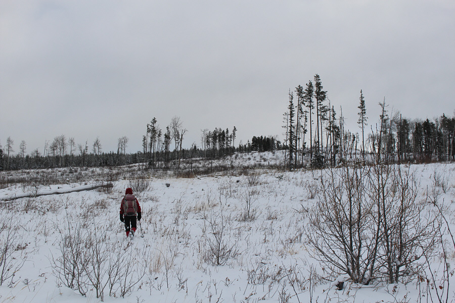 Ah well, we gave it a good try on skis!