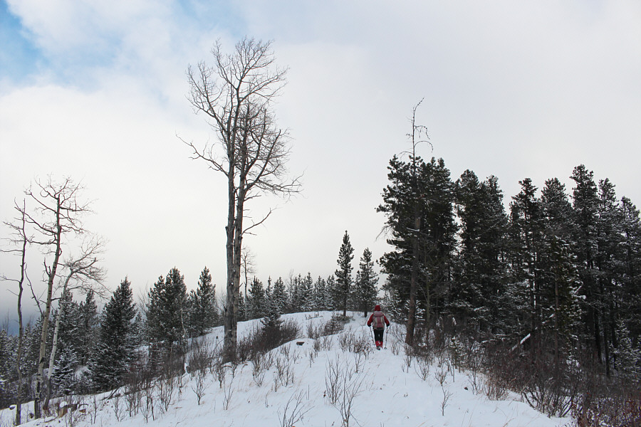 Not as viewless as I was expecting!