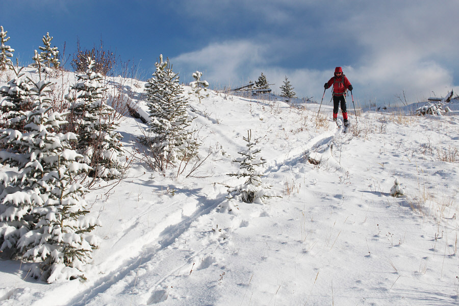 Gotta watch for sharks with the thin snow cover!
