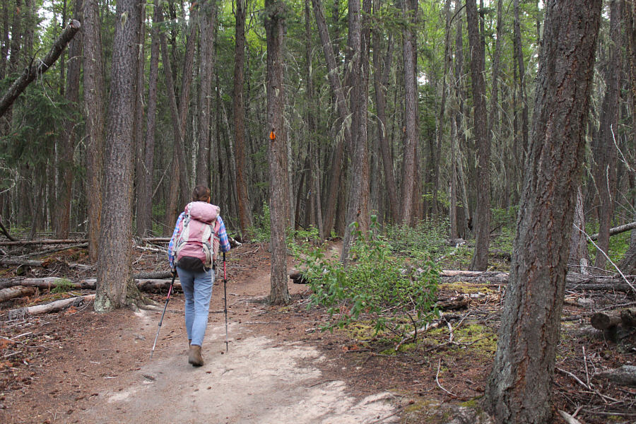 Nothing to see here!