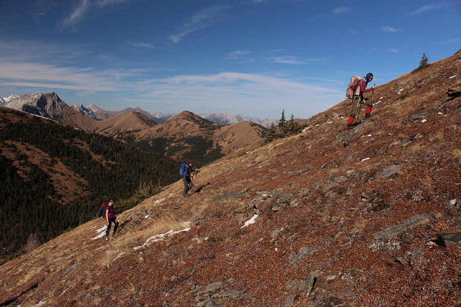 This might even be a good slope for skiing in winter...