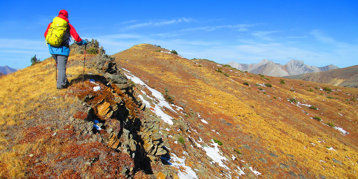 I think I've nailed all the primary colours!