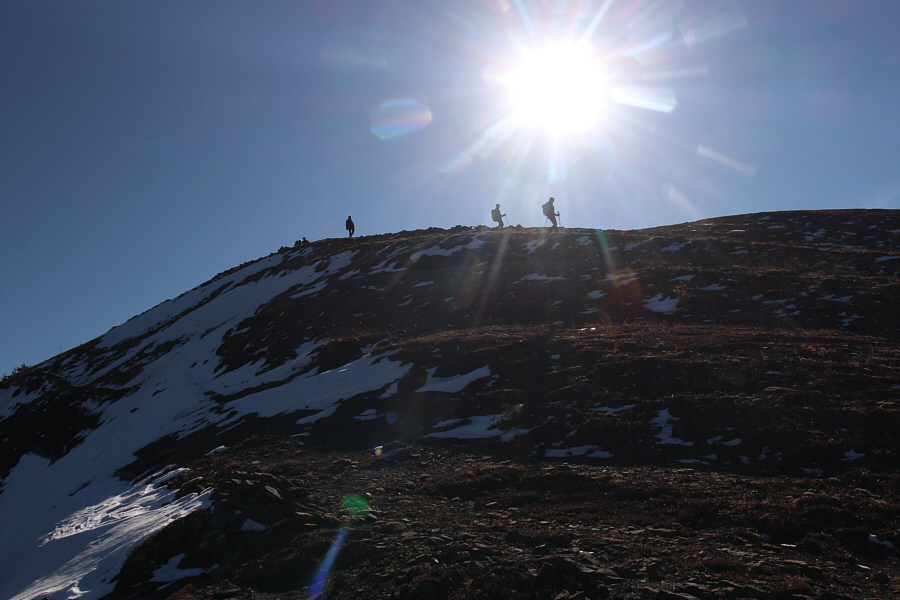 Góralu czy ci nie żal, góralu, wracaj do hal!