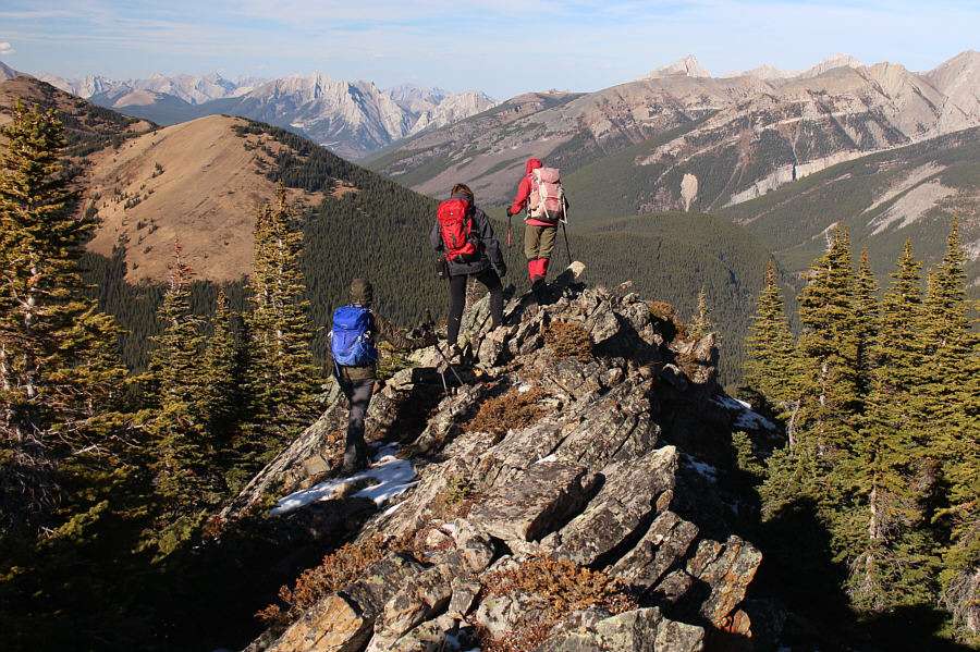 That's what the hunter said.