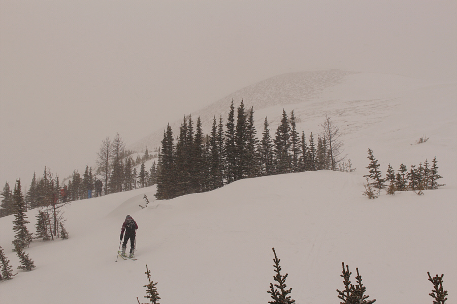 Sigh...too bad the weather wasn't nicer!