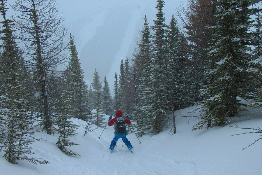 Never too proud for snow-plowing!