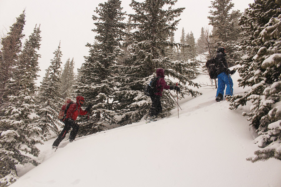 Zosia: Wendy, I thought we were supposed to be going somewhere less steep...