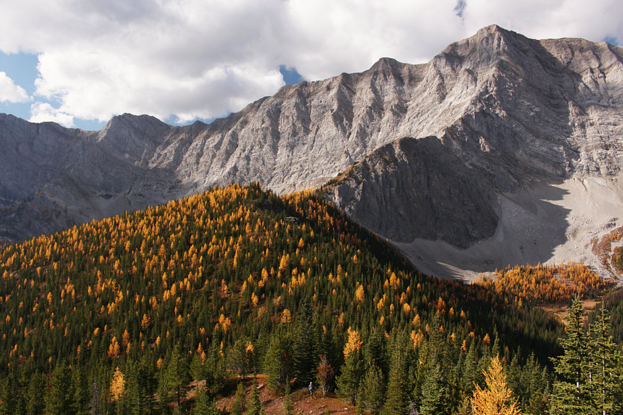 We weren't even sure how far up we would climb at this point.