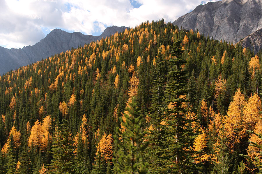 That's what we came to see!