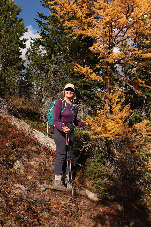 Soft as a babies bottom?