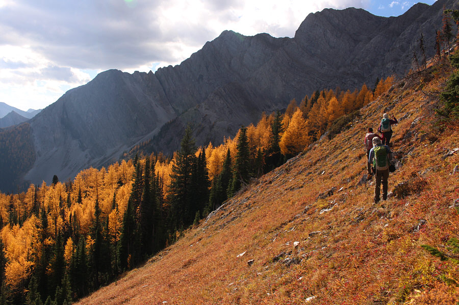 Pretty easy route-finding here to avoid the cliffs.