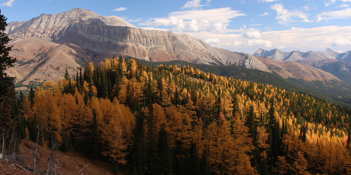 Hardly looks like a ridge from this vantage point!