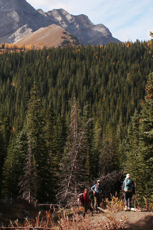 Looks more like a real summit from this angle!