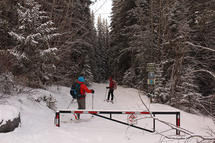 Prevent forest fires...of course!