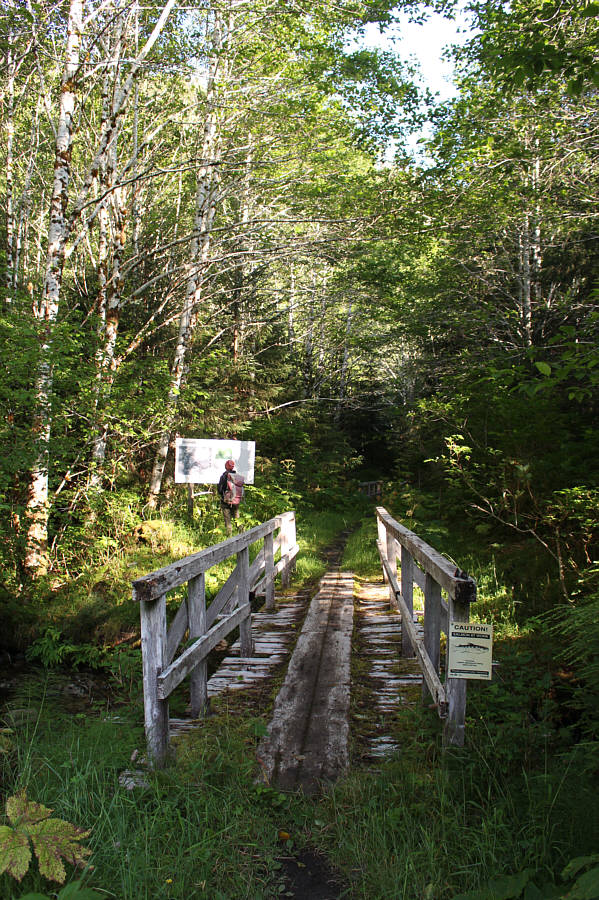 The creek water is nice and clear here!