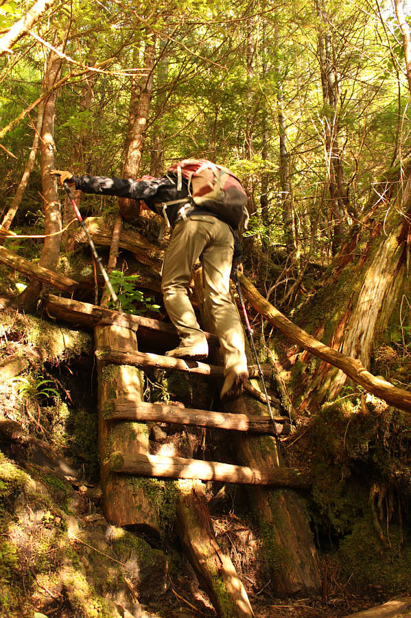 I'm just glad we're not bushwhacking!