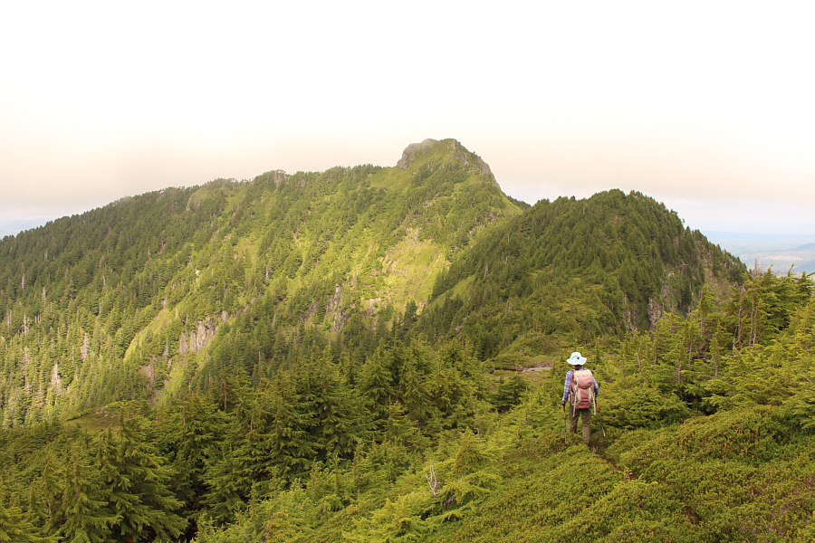 It's too bad the minor bump didn't also have an official name!