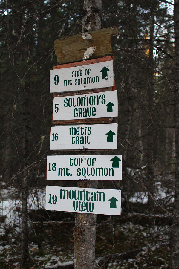 Seems like the same trail goes everywhere!