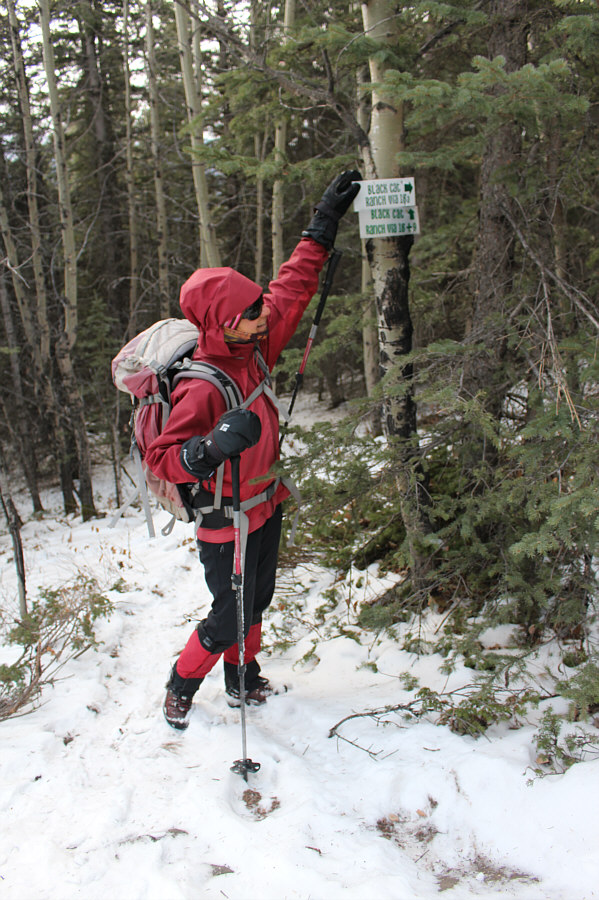 The short cut trail is better saved for the descent.