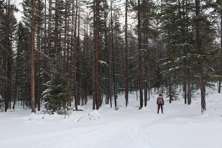 One of the best cross-country skiing downhill runs I can recall.